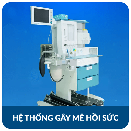 may-gay-me