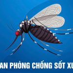 Bệnh viện JW rộn ràng không khí Đại lễ 30/4 – Đồng hành cùng niềm tự hào dân tộc